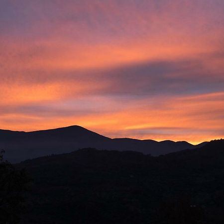 La Banditaccia Monticello Amiata 외부 사진