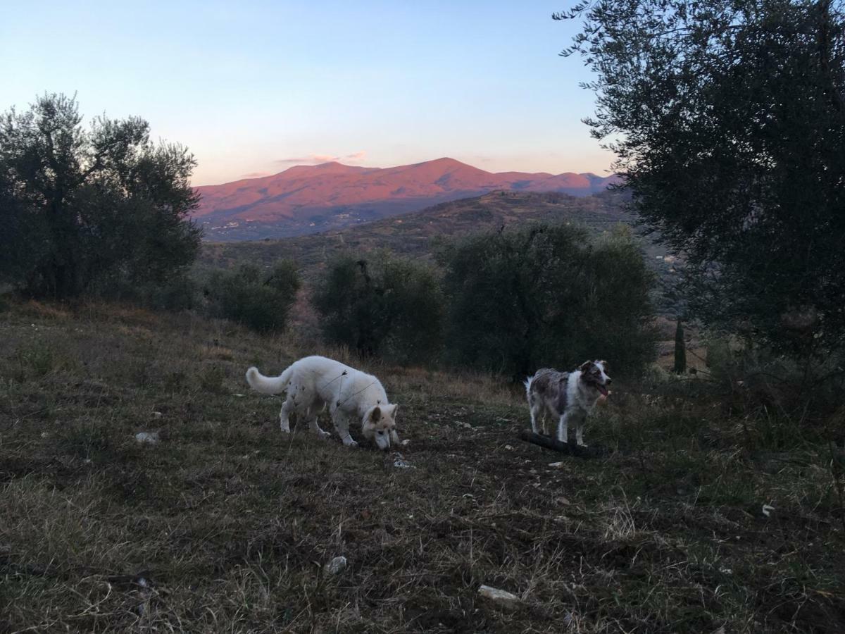 La Banditaccia Monticello Amiata 외부 사진