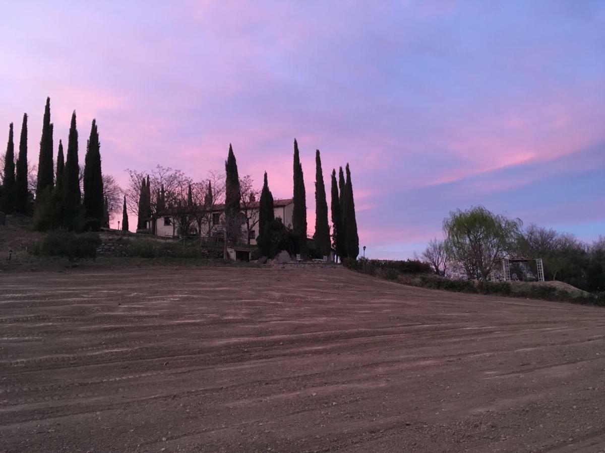 La Banditaccia Monticello Amiata 외부 사진