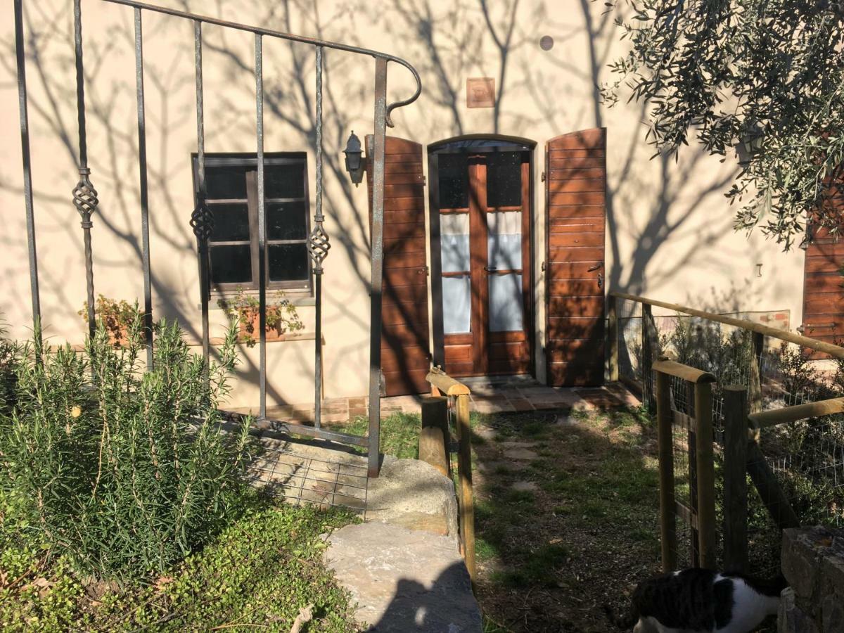 La Banditaccia Monticello Amiata 외부 사진