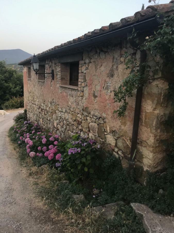 La Banditaccia Monticello Amiata 외부 사진