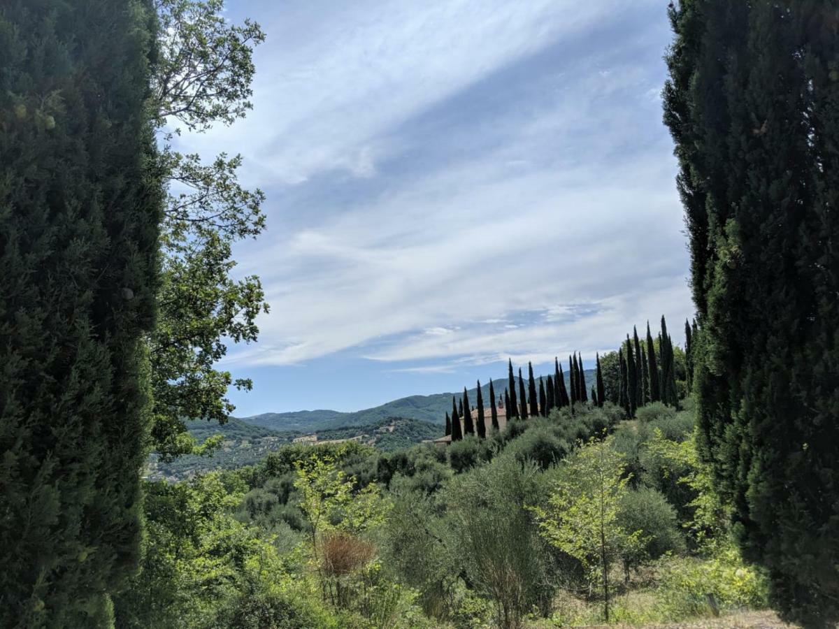 La Banditaccia Monticello Amiata 외부 사진