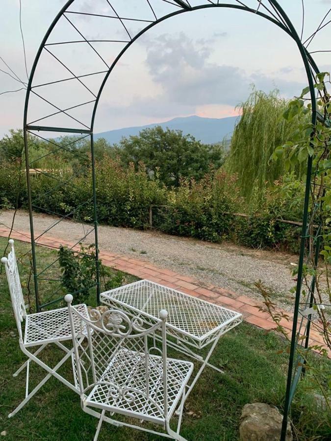 La Banditaccia Monticello Amiata 외부 사진